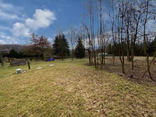 Blick in der Garten - 