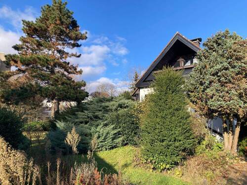 Balkon, Terrasse, Garten! Alles für Sie! - 1 Zimmer Einfamilienhaus in Frankfurt am Main