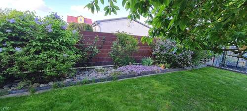 Teil des angelegten Garten - 
