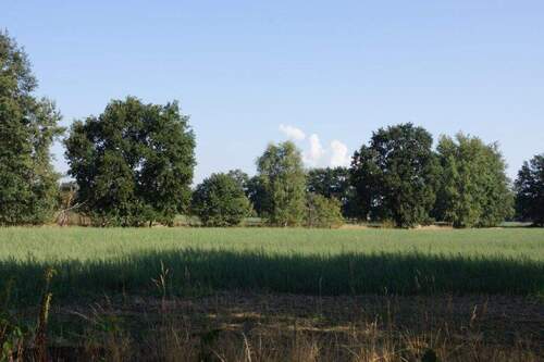DSC03114.jpg - großzügiges Baugrundstück in Gallinchen am Wald