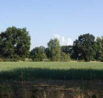 großzügiges Baugrundstück in Gallinchen am Wald - Cottbus