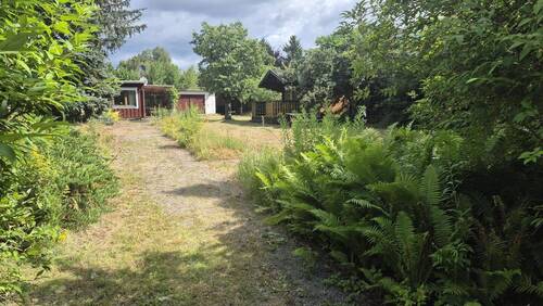 Blick in den Garten - 