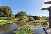Teich - 