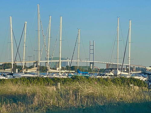 Rügenbrücke - 