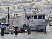 Weise Flotte - 