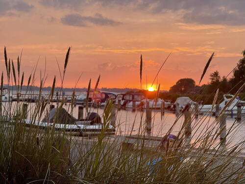 Sonnenuntergang im Hafen - 