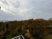 IMG_0017 2 - 