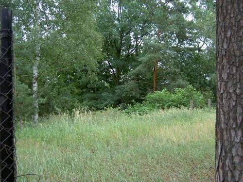 Beispielfoto.jpg - großzügiges Baugrundstück im Zentrum von Senftenberg