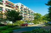 Bild 2 - 3 Zimmer Etagenwohnung zur Miete in Riesa