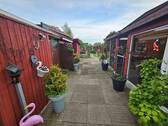 20250502_172118 (800x600).jpg - 