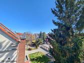 Ausblick vom Balkon - 