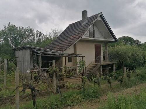 Haus von Westen + Trauben + Obstbäume - Mehrfamilienhaus, Wohnhaus mit 33,00 m&sup2; in Bocska zum Kaufen
