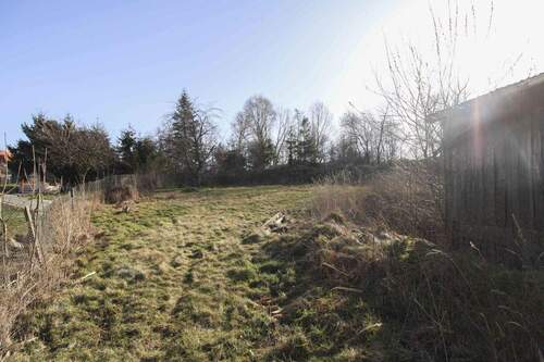 Blick in den Garten - 7 Zimmer Einfamilienhaus in Priestewitz