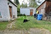 Nebengebäude mit Hund - 
