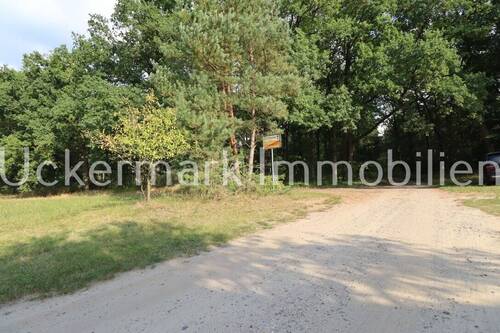 Vor dem Haus - 