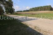 Vor dem Haus - 