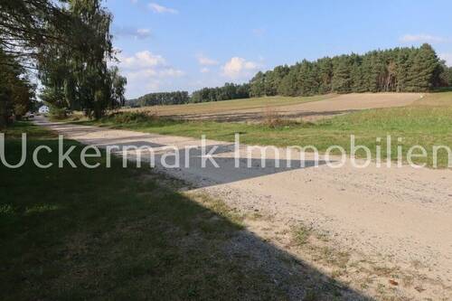 Vor dem Haus - 