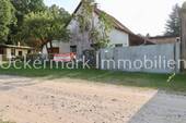 Hausansicht - 4 Zimmer Einfamilienhaus zum Kaufen in Schorfheide