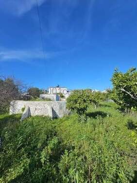 Bild 1 - Algarve Juwel mit Logenplatz - Renovierungsobjekt direkt an der Ria Formosa