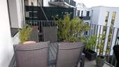 Balkon - 2 Zimmer Etagenwohnung zur Miete in Düsseldorf