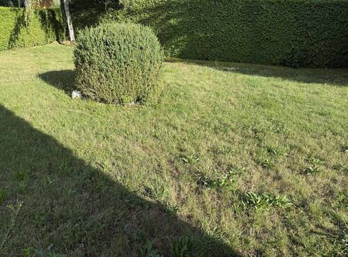Baugrundstück Starnberg 4(5) - Grundstück in Starnberg zum Kaufen