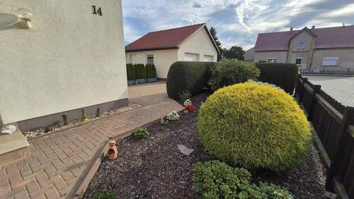 gepflegter Vorgarten - 