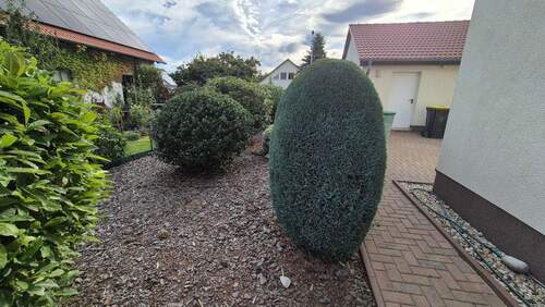 weitere Beete im hinteren Bereich - 