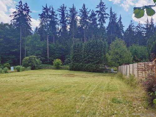Blick zum Wald - Sonniges Baugrundstück in ruhiger Waldrandlage von Sülfeld-Borstel