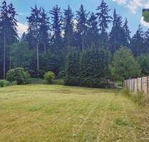 Sonniges Baugrundstück in ruhiger Waldrandlage von Sülfeld-Borstel