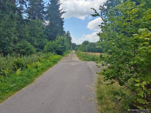 Wanderweg vor der Tür - Grundstück in Sülfeld