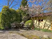 Garten Impressionen - 