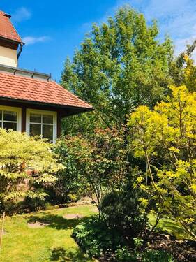 Garten Impressionen - 
