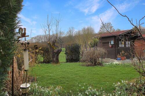 Blick in den Garten 1 - 