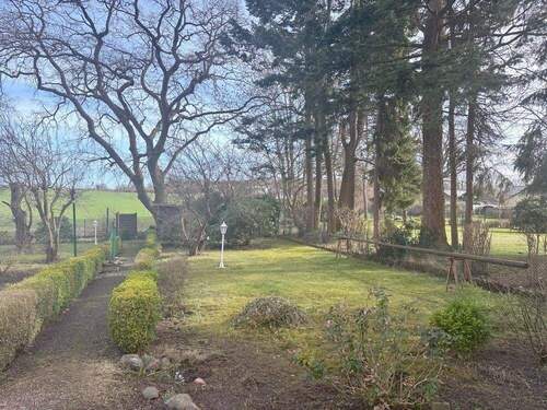 14354 LooseImmo Garten - 