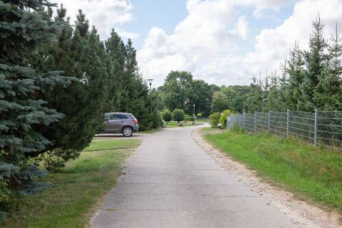 Weg zur Straße - 