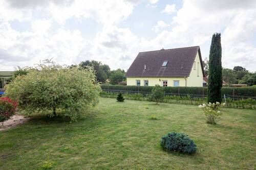 Blick aufs Grundstück - 