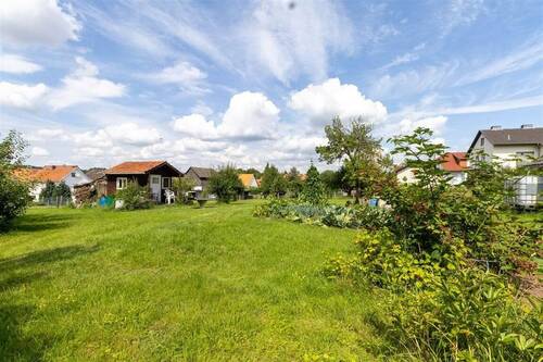 Blick nach Osten - Grundstück in Meißner