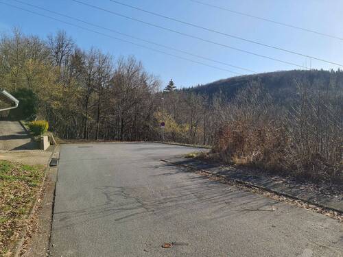 20260227_150031.jpg - Grundstück in Heigenbrücken