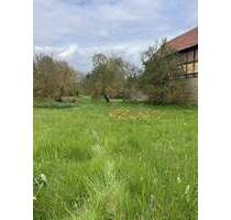 Ein Town & Country Haus, welches sich Ihren Lebensumständen anpasst in Mühlhausen OT Grabe