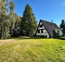 Traumhaus im Naturparadies auf dem Deich - teilsaniert, mit Südterrasse und großem Garten - Hamburg Wilhelmsburg