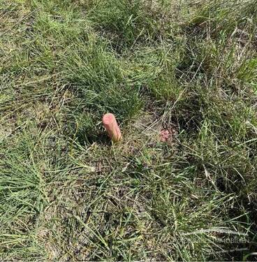 Alle Medien auf dem Grundstück - Grundstück in Oberkrämer