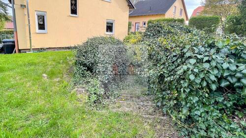 Zugang Kellbereich - 