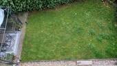 Blick-auf-den-Garten.jpg - 3 Zimmer Etagenwohnung in Bochum