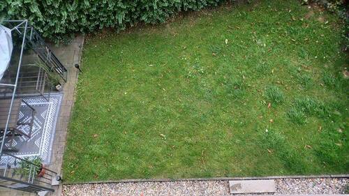 Blick-auf-den-Garten.jpg - 3 Zimmer Etagenwohnung in Bochum