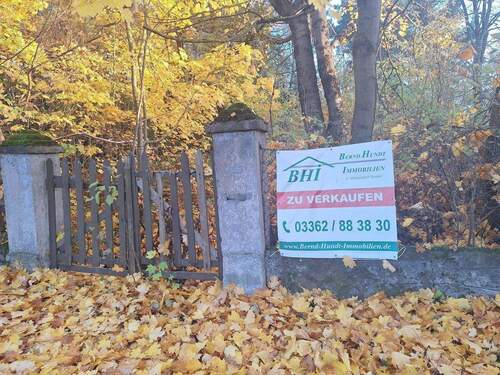 Blick auf das Grundstück - Bauland in schöner Grünlage - Nachbargrundstücke zukaufbar