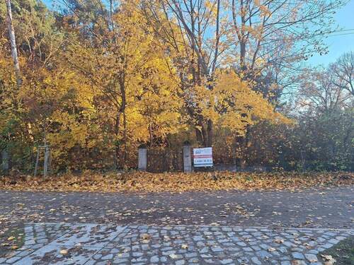 Blick auf das Grundstück - Grundstück in Strausberg