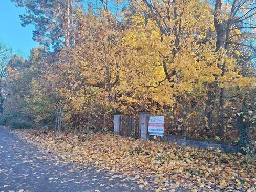 Blick auf das Grundstück - Grundstück in Strausberg zum Kaufen