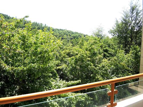 Balkon - 