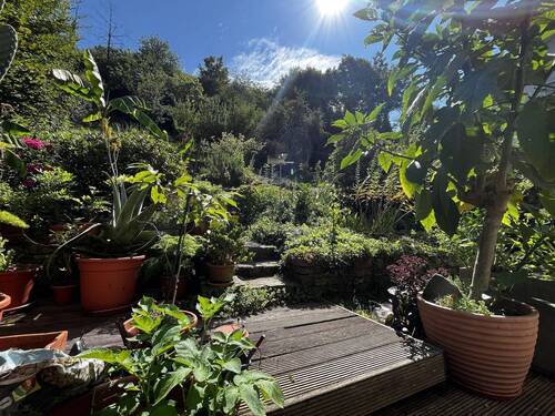Gartenblick - 4 Zimmer Einfamilienhaus in Sinzig