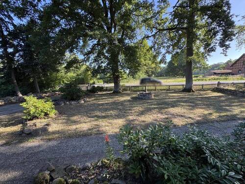 Vorgarten vom Hauseingang - 